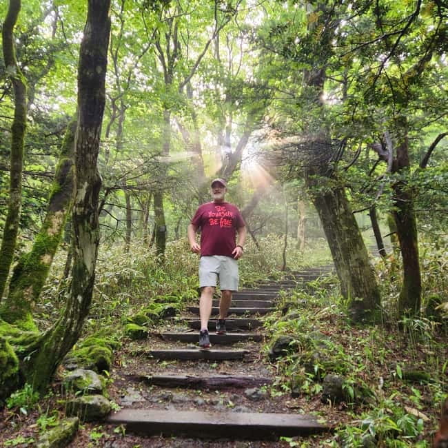Jeju: Southern UNESCO Geopark Day Tour - O’sulloc Tea Museum and the green fields