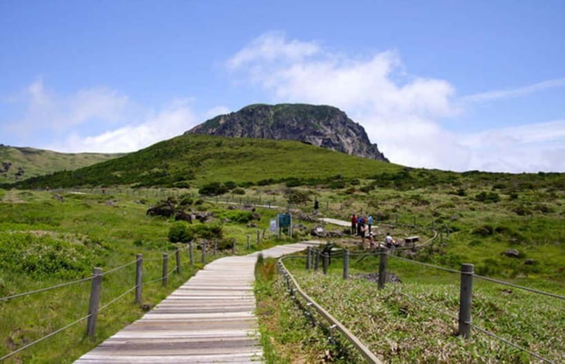 Jeju: UNESCO Day Tour for Cruise Guests - A smart way to see Jeju from a cruise ship