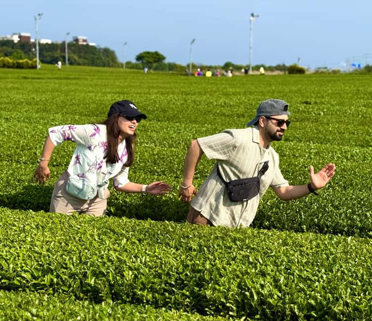 Jeju West: Small Group Healing Tour w/Caves & Dolphins - What the $105 price includes