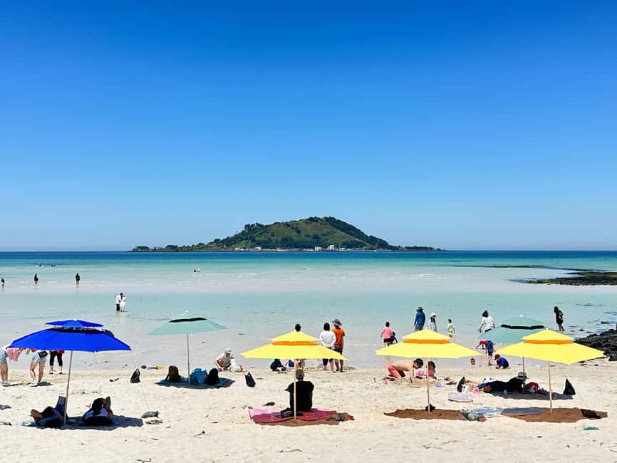 Jeju West: Small Group Healing Tour w/Caves & Dolphins - Why this western Jeju day works