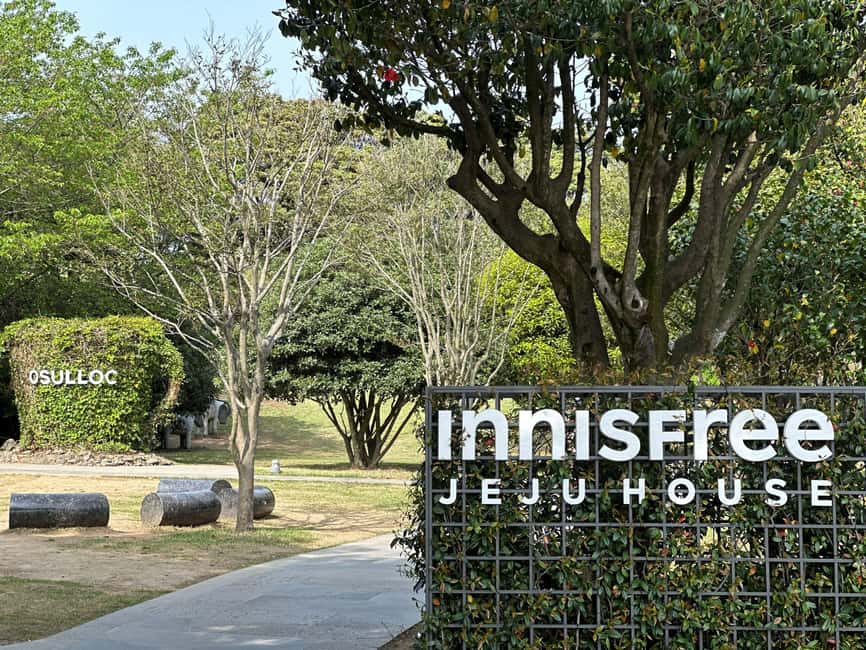 Jeju West: Small Group Healing Tour w/Caves & Dolphins - A pause at Hyopjae Beach