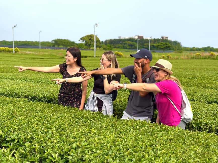 Jeju West: Small Group Healing Tour w/Caves & Dolphins - Hallim Park and its underground lava tubes