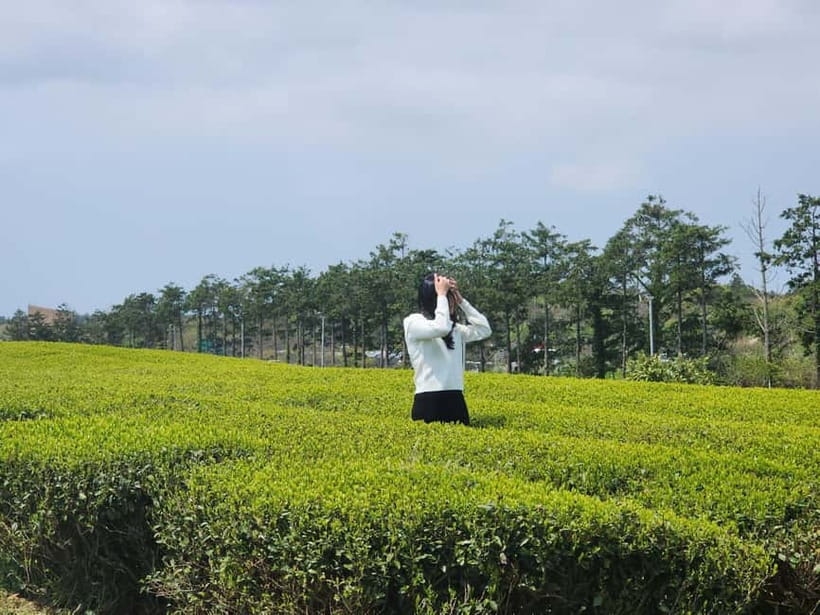 Jeju: West & South Full-Day Authentic Tour - Why this west and south route works