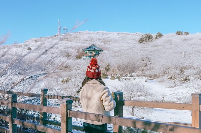 Jeju WEST&SOUTH One Day Tour with MT.halla & UNESCO - Hallasan’s 1100 Altitude Wetland comes first