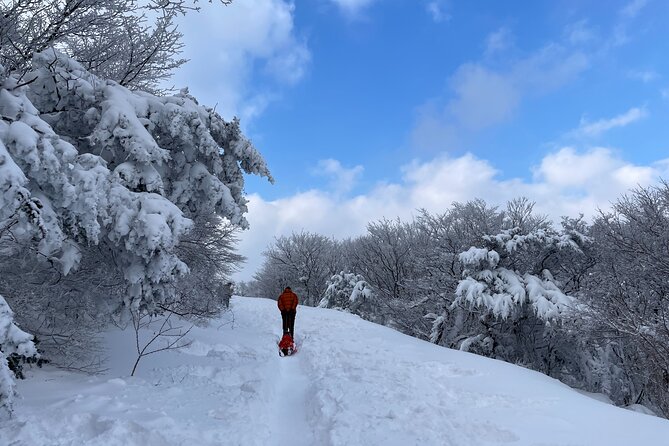 Jeju WEST&SOUTH One Day Tour with MT.halla & UNESCO - Jeongbang Waterfall reaches the coast