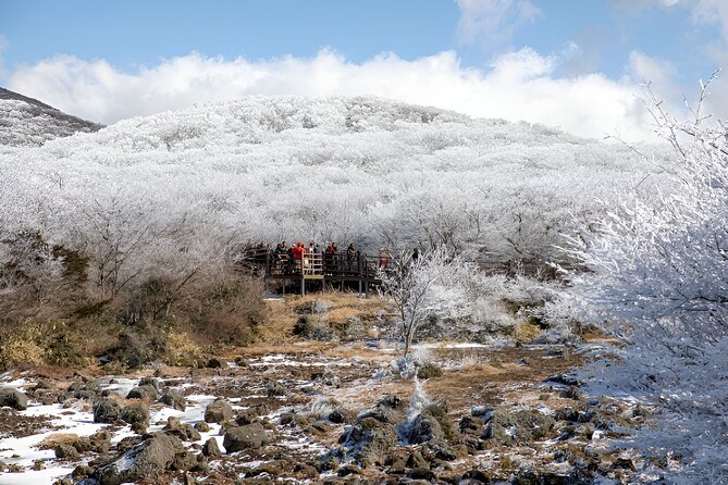 Jeju WEST&SOUTH One Day Tour with MT.halla & UNESCO - The guides make a practical difference