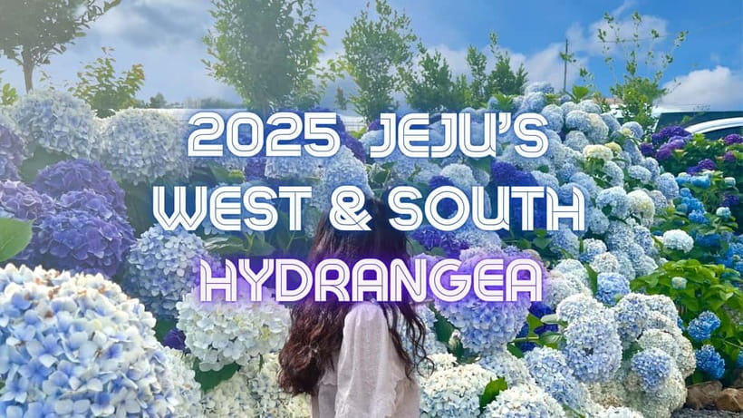 Jeju: Western & Southern Jeju Hydrangea Festival Tour - Why this route works for a first Jeju day