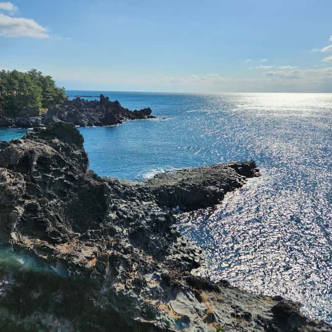 Jeju: Western & Southern Jeju Hydrangea Festival Tour - The guide can shape the day