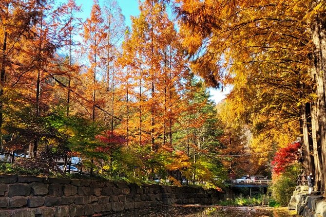 Jeonju Hanok Village Full-Day Tour: Jangtaesan Autumn Foliage - Key Points Before You Book