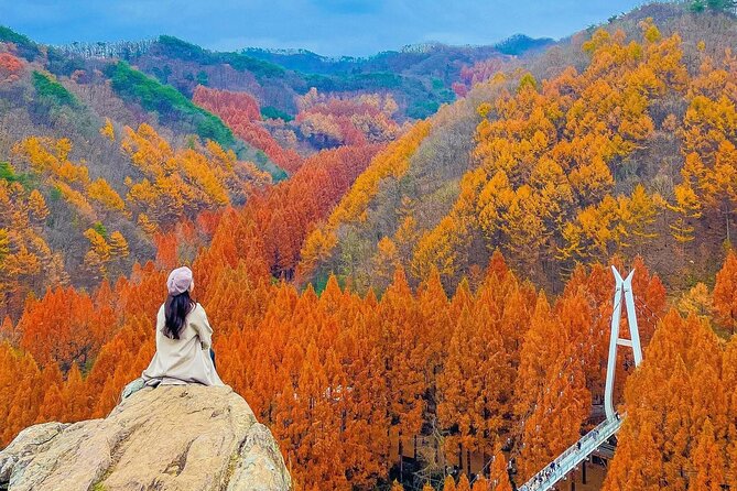 Jeonju Hanok Village Full-Day Tour: Jangtaesan Autumn Foliage - Why This Day Trip Works From Seoul