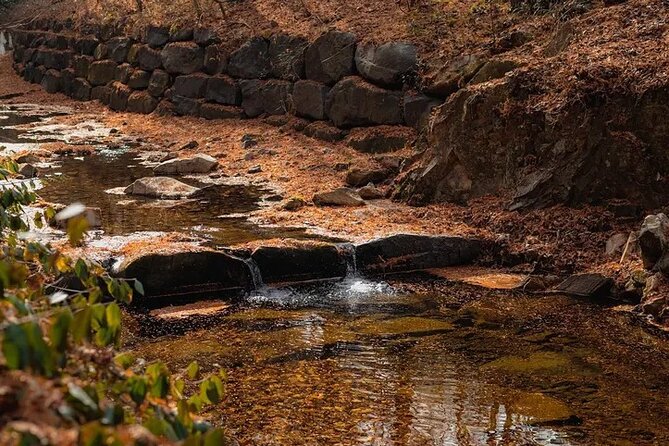 Jeonju Hanok Village Full-Day Tour: Jangtaesan Autumn Foliage - Jangtaesan Natural Forest in Autumn