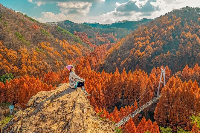 Jeonju Hanok Village Full-Day Tour: Jangtaesan Autumn Foliage - The Real Cost of a $60.17 Day