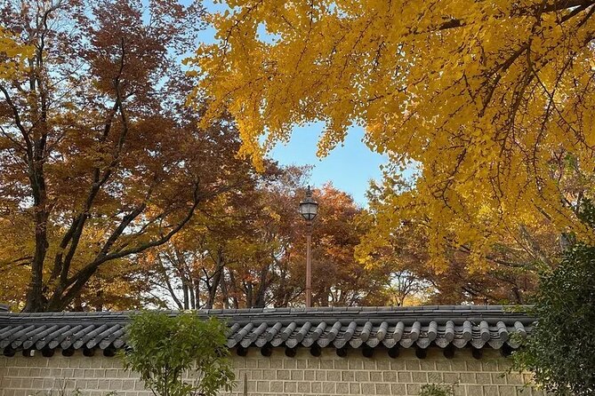 Jeonju Hanok Village Full-Day Tour: Jangtaesan Autumn Foliage - Timing, Comfort, and Physical Effort