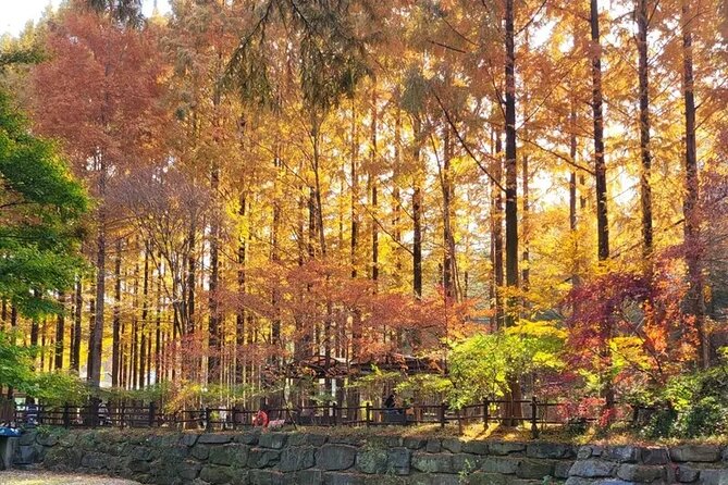 Jeonju Hanok Village Full-Day Tour: Jangtaesan Autumn Foliage - Who Should Choose This Jeonju Tour?