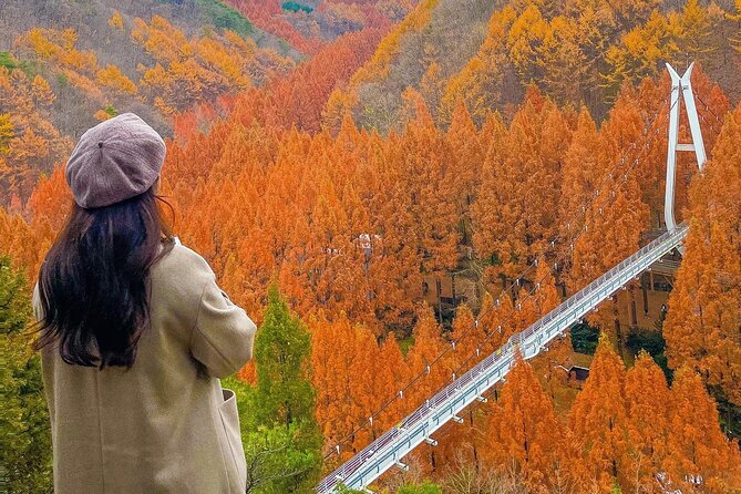 Jeonju Hanok Village Full-Day Tour: Jangtaesan Autumn Foliage - Cancellation and Booking Details