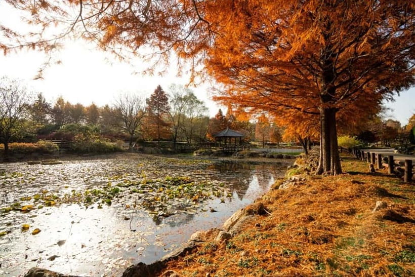 Jeonju: Private Taxi Tour Car Charter - Communication, comfort, and small practical details