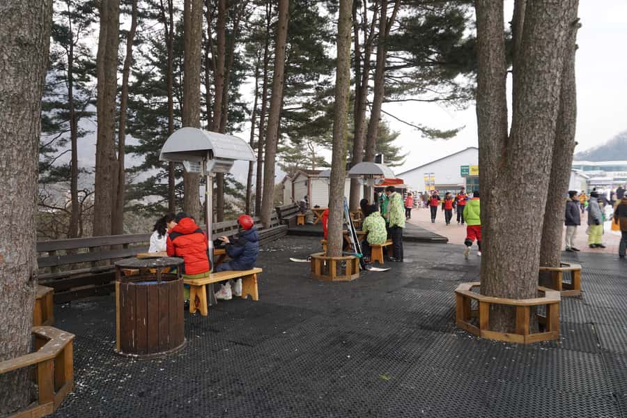 Jisan Forest Resort: Ski Full-Day Tour or Shuttle from Seoul - Equipment, clothing, and extra costs