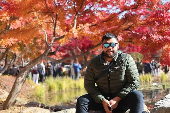 Make Your Trip Around Nami Island With an Expert(DSLR option) - Petite France for a short change of mood