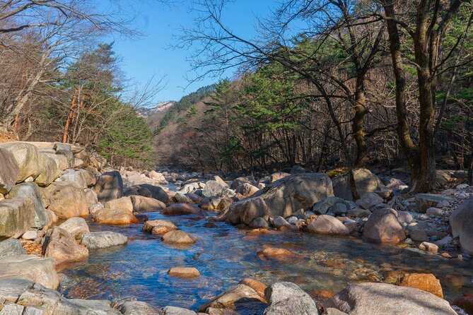 Mount Seorak and Nami Island One Day Tour from Seoul - The road between the sights is part of the bargain