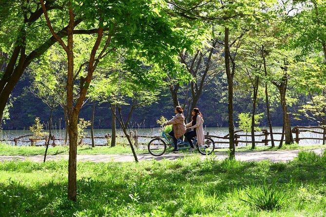 Mount Seorak and Nami Island One Day Tour from Seoul - What the $80.95 price really covers