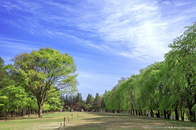 Mount Seorak and Nami Island One Day Tour from Seoul - Guides can make the tight schedule easier