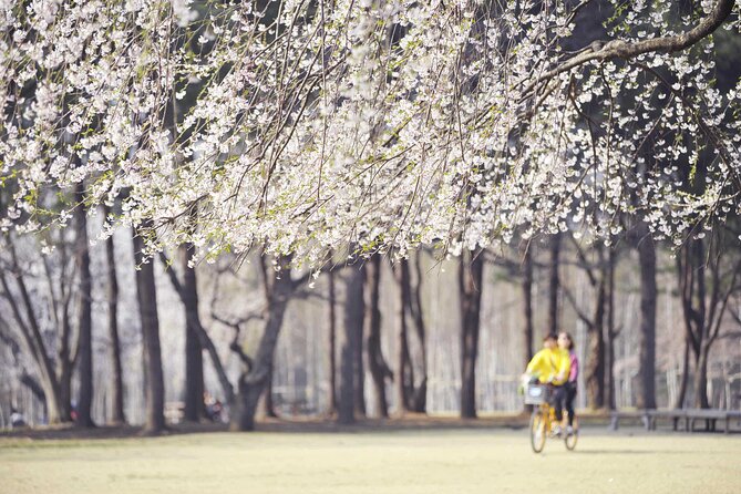 Mount Seorak and Nami Island One Day Tour from Seoul - Weather, crowds, and seasonal timing