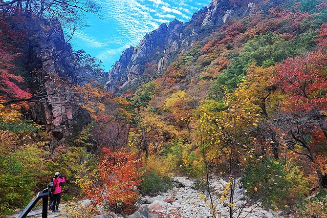 Mt. Seorak+Nami Island+Garden of Morning Calm Day Trip from Seoul - Nami Island: attractive paths, crowds, and a ferry ride