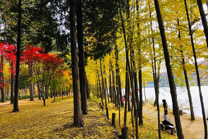 Mt. Seorak+Nami Island+Garden of Morning Calm Day Trip from Seoul - The value of $95.18