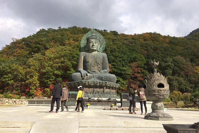 Mt. Seorak+Nami Island+Garden of Morning Calm Day Trip from Seoul - How hard is the day?