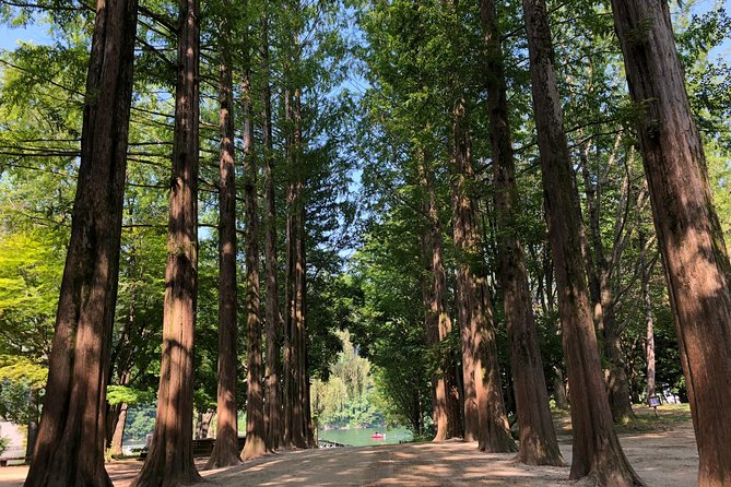 Mt. Seorak+Nami Island+Garden of Morning Calm Day Trip from Seoul - Should you book the Seoraksan and Nami Island day trip?
