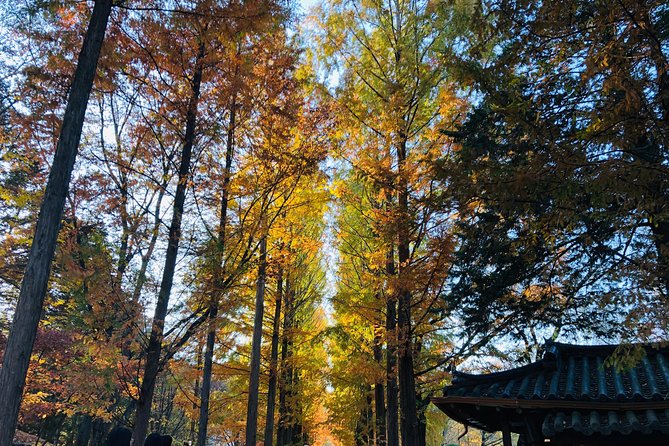 Nami+Alpaca+Garden of Morning Calm (+Rail Bike Option) - Gyeonggang Rail Bike: a scenic ride, not an all-day adventure