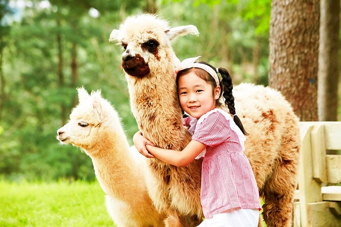 Nami+Alpaca+Garden of Morning Calm (+Rail Bike Option) - The Garden of Morning Calm: the day’s most thoughtful stop