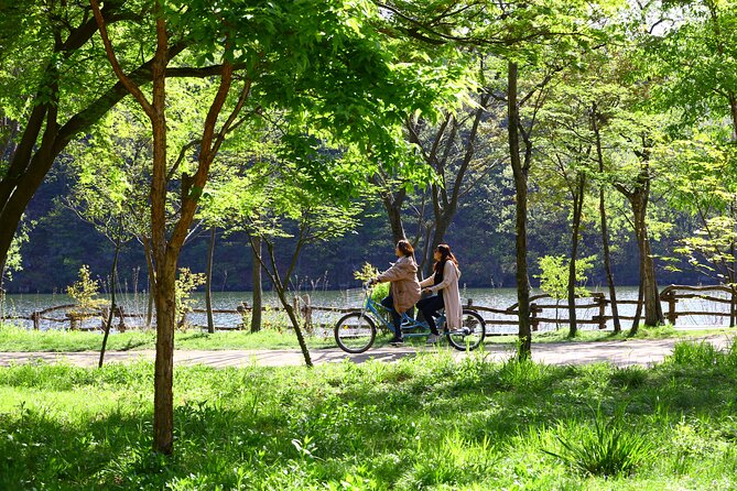 Nami Island and Petite France & Italian Village Day Trip from Seoul - What the guides add, and where the setup can falter