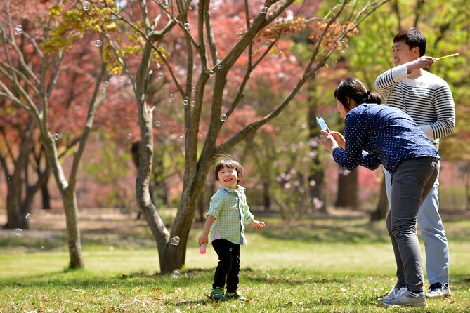 Nami Island and Petite France & Italian Village Day Trip from Seoul - Transport, timing, and the value of $55.24