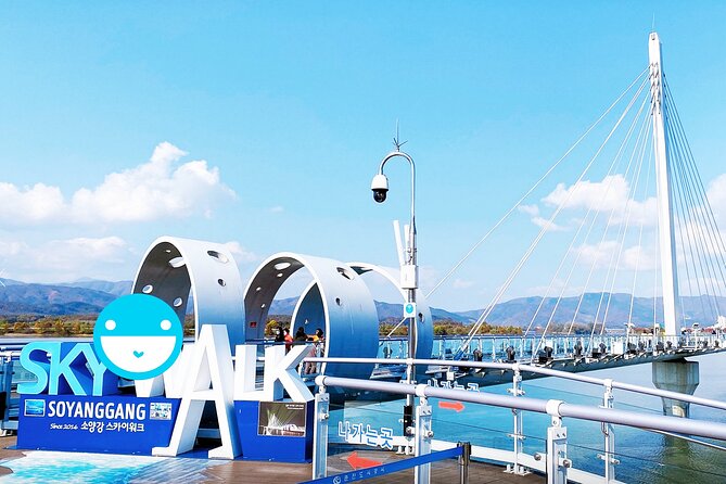 Nami Island, Cable Car, Garden of Morning Calm Panoramic Tour - Who should book this excursion?