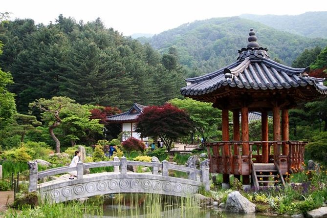 Nami Island, Cable Car, Garden of Morning Calm Panoramic Tour - Should you book the Nami Island and cable car tour?