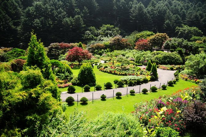 Nami Island & Garden of Morning Calm & Gangchon Railbike Tour - Guides make a major difference