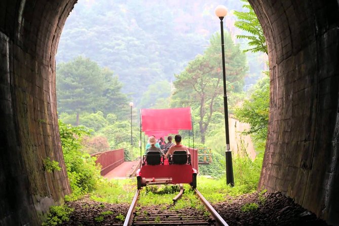 Nami Island & Garden of Morning Calm & Gangchon Railbike Tour - Nami Island: pretty paths, famous scenes, and serious crowds