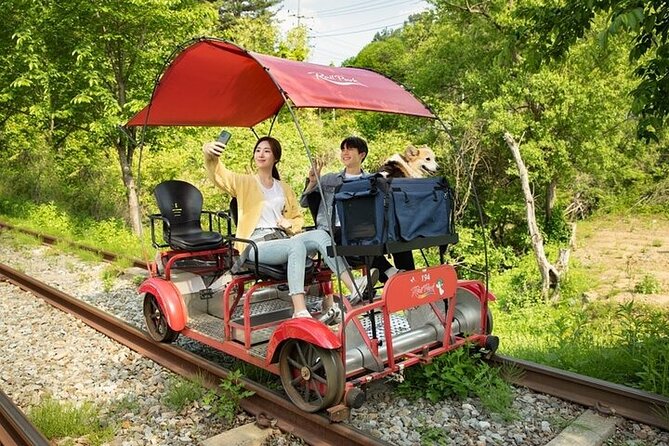 Nami Island & Petite France & Italian Village & Gangchon Rail Bike One-Day Tour - Transport, group size, and the Seoul traffic problem