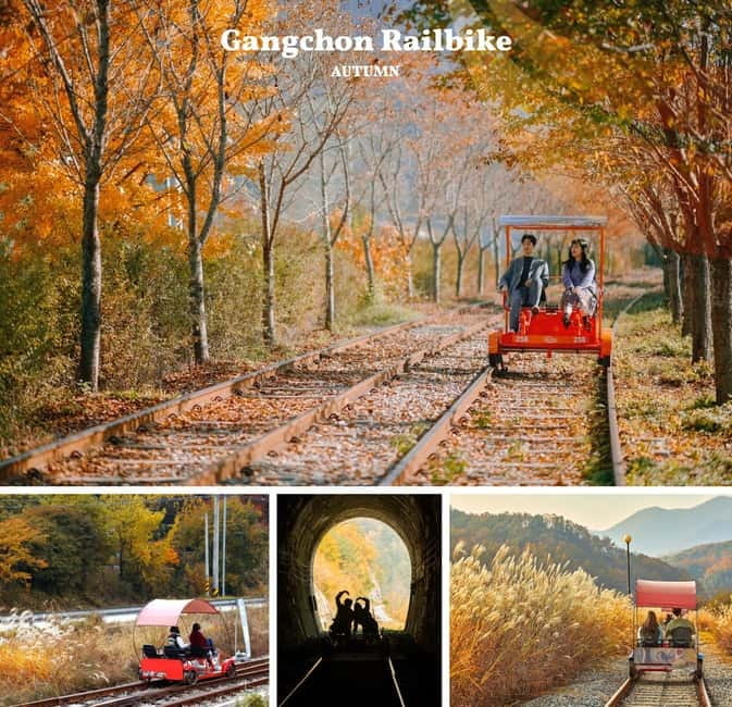 Nami Island, Railbike & Alpaca Garden Day Trip from Seoul - Why this Seoul day trip works