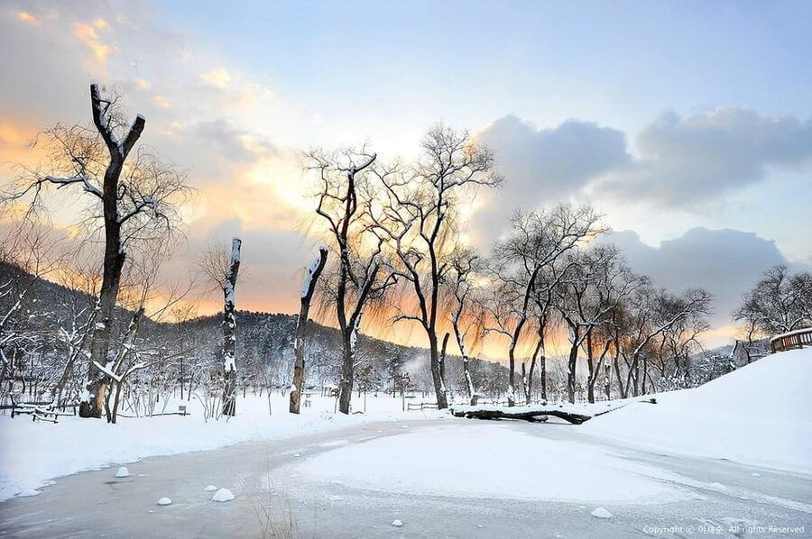 Nami Island, Railbike & Alpaca Garden Day Trip from Seoul - The optional Autumn Light Festival after dark