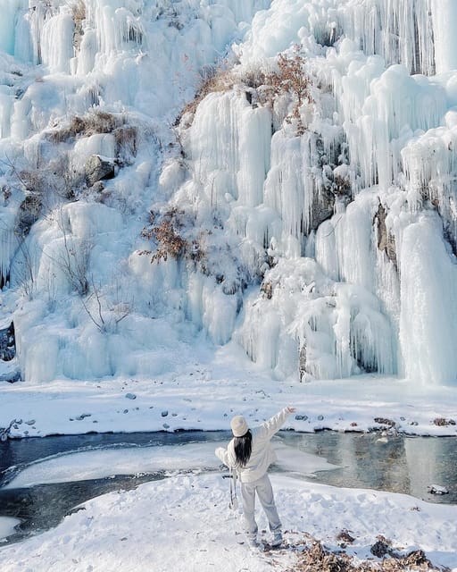 Nami Island, Railbike & Alpaca Garden Day Trip from Seoul - Who should book this experience