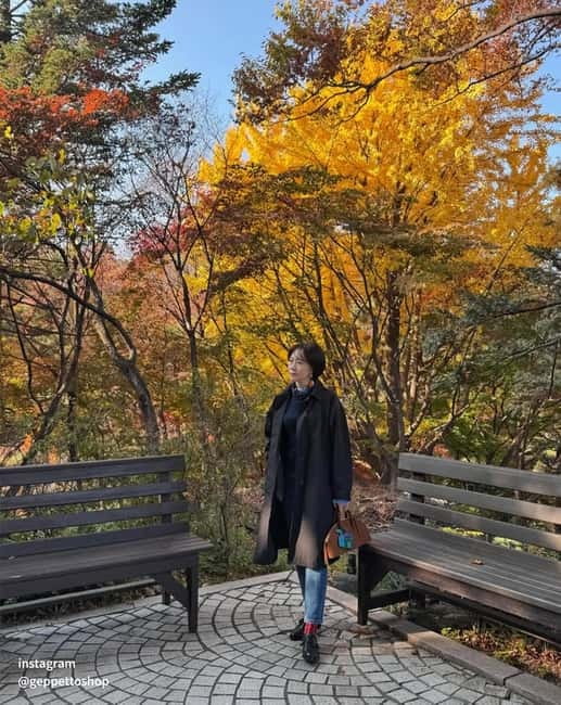 Nami & Maple Road & Theatre des Lumieres Day Tour from Seoul - Lumières and the move from nature to projection