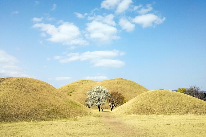 Old Korea Thousand History Tour of Gyeongju from Busan - Daereungwon Tomb Complex: understand the mounds before you go
