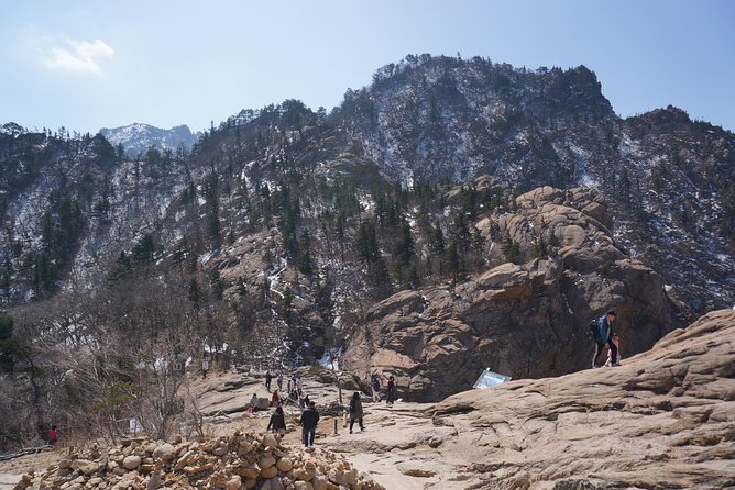 [Premium Private Tour] Mt Seorak & East Sea or Nami island from Seoul - Choosing Nami Island instead of the East Sea