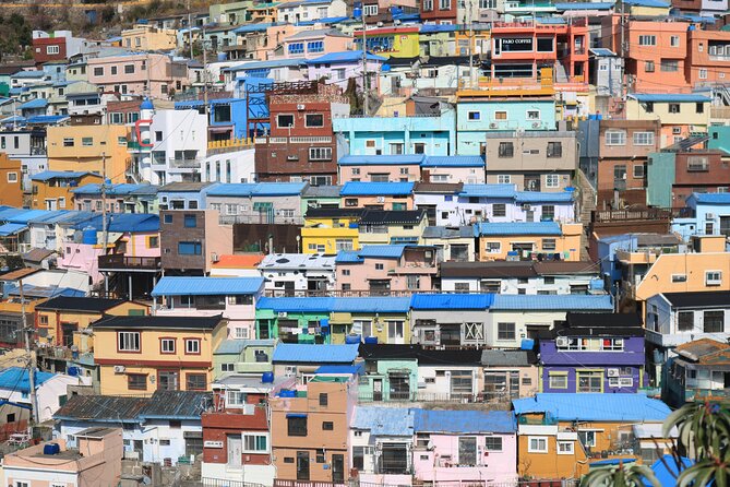 Private Busan tour with gamcheon culture village and the temple (Customizable) - Why this private Busan day works