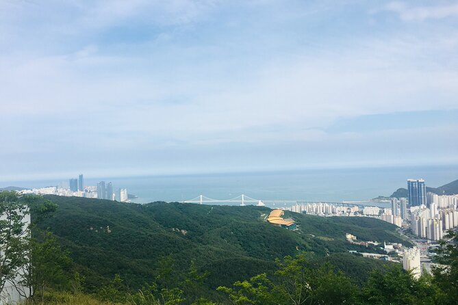 Private Busan tour with gamcheon culture village and the temple (Customizable) - Beomeosa Temple and 1,300 years of Buddhist history