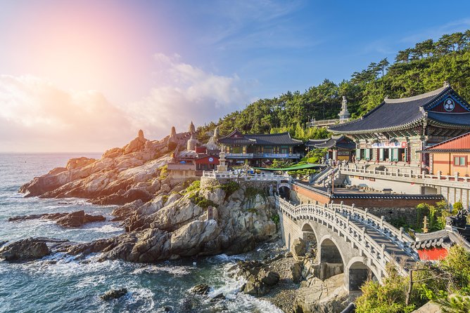 Private Busan Tour with hidden gem of Busan by Local Guide - Why a private Busan tour can save your day