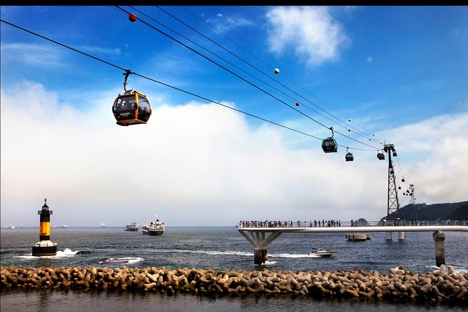 Private Busan Tour with hidden gem of Busan by Local Guide - The coastal choices beyond the standard route