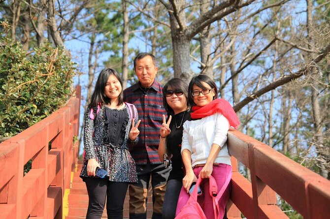 Private Day Tour in South and West in Jeju Island - Why a private taxi is a smart way to see Jeju